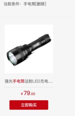 手电筒搜索条件及结果卡片中的商品图、关键词和79元示例价格