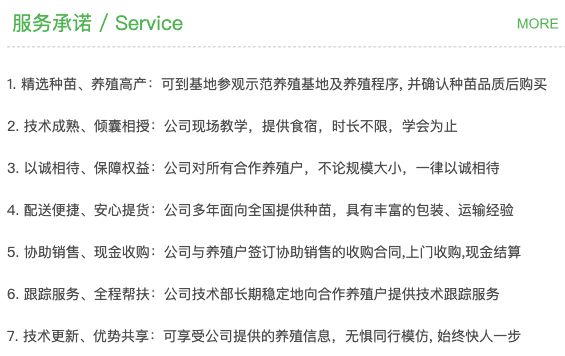 模板服务承诺模块的七条演示文字,涵盖参观、教学、合作、配送、销售协助、技术跟踪与信息更新