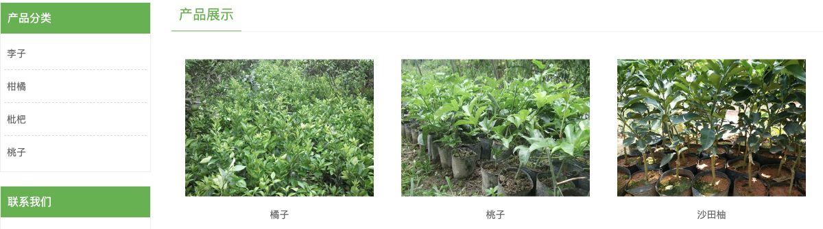 苗圃模板产品中心,左侧列出李子柑橘枇杷桃子四类,右侧首行展示橘子桃子沙田柚图片